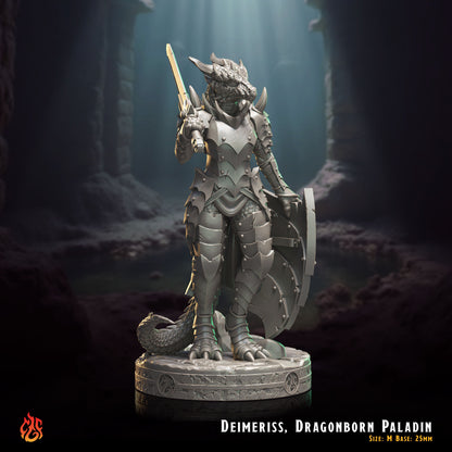 Deimeriss Dragonborn Paladin
