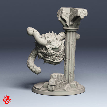 Espectador observador