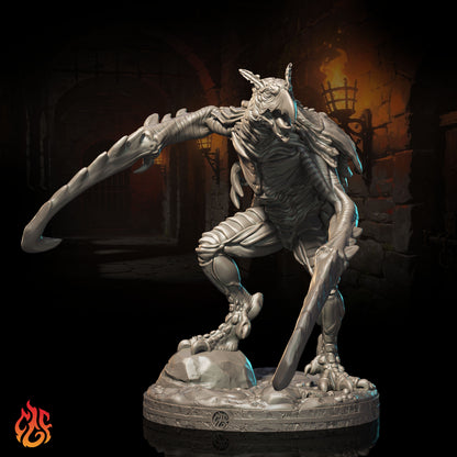 Nautilion Lamia