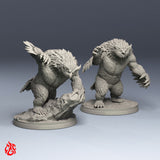Nautilion Lamia