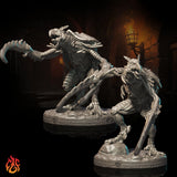 Nautilion Lamia