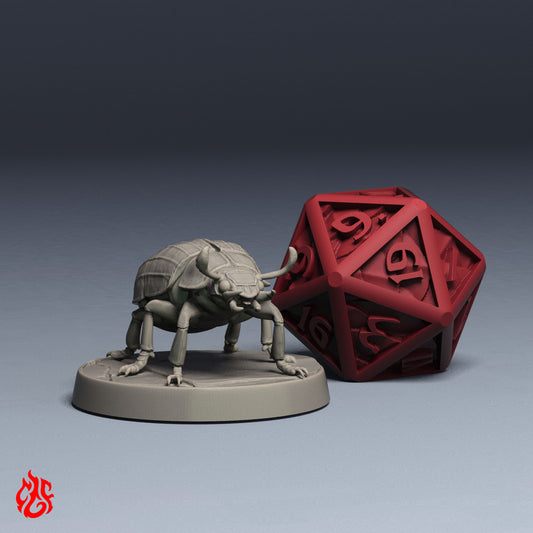 Desert Scarab