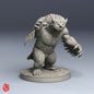 Nautilion Lamia