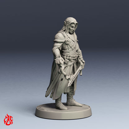 Dark Elf Sorcerer