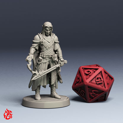 Dark Elf Sorcerer