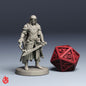 Dark Elf Sorcerer