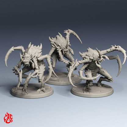 Lamia Nautilion