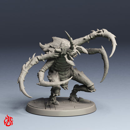 Lamia Nautilion
