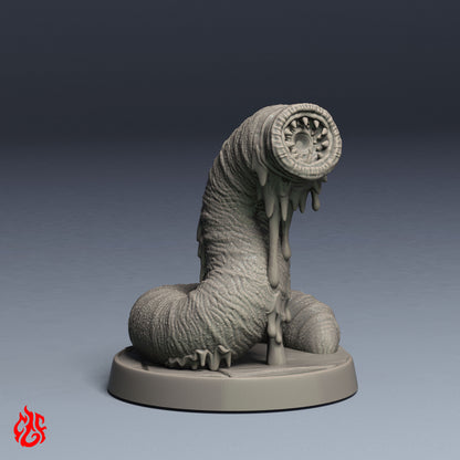 Giant leech