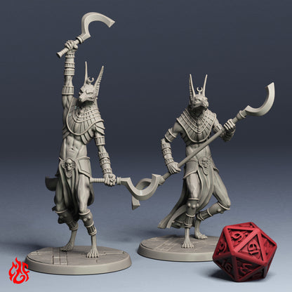 Lamia Nautilion