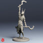Lamia Nautilion
