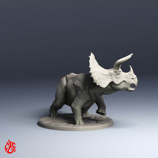 Triceratops
