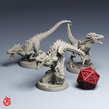 Garrasafiladas Raptores