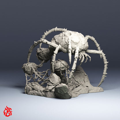 Araignée astéroïde