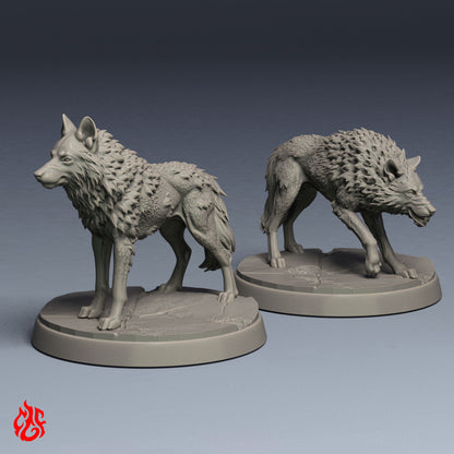 Loups
