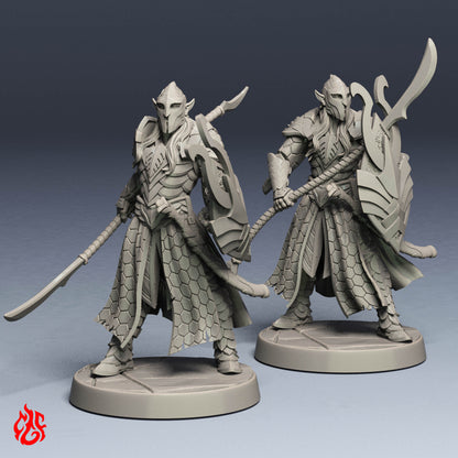 Elf Warriors