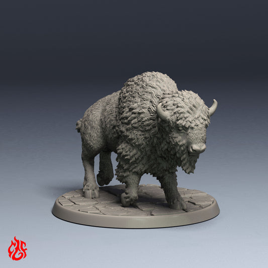 Buffalo