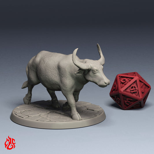 Water Buffalo