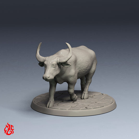 Water Buffalo
