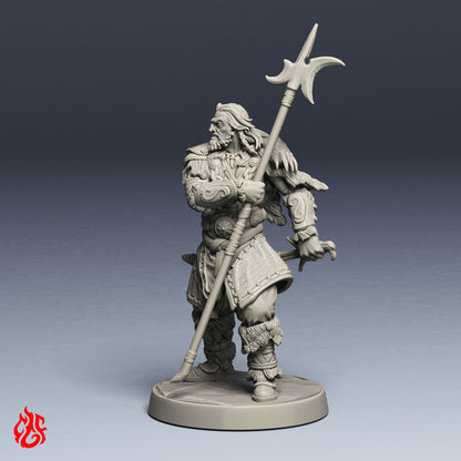 Morginn the Druid