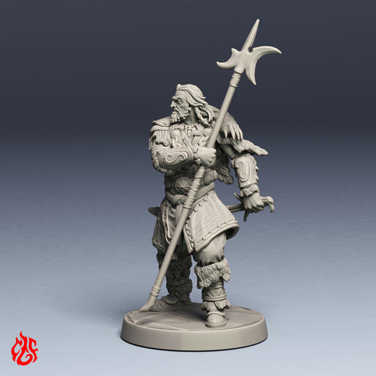 Morginn the Druid