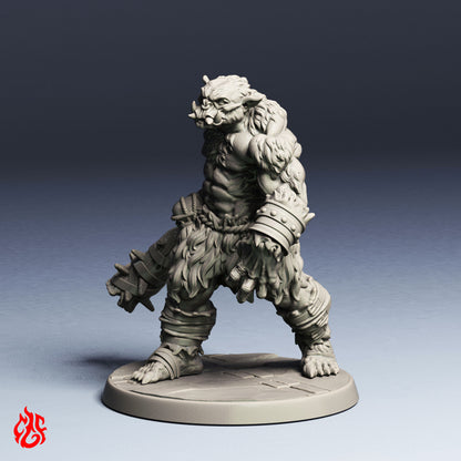 Dungeon Ogre