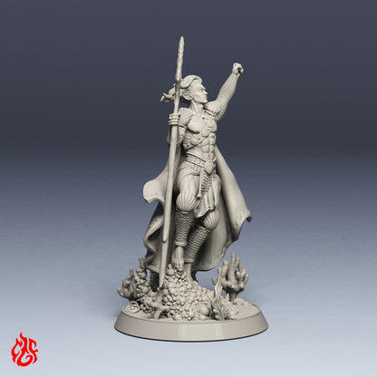 Guerrero elfo acuático