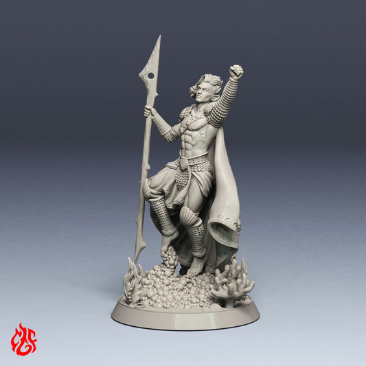 Guerrero elfo acuático