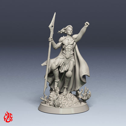 Guerrero elfo acuático