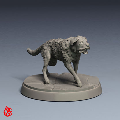 Bauernhunde