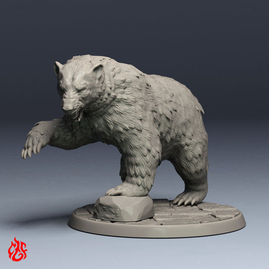 Polar Bear
