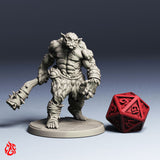 Dungeon Ogre