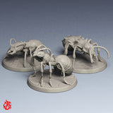 Paquete de hormigas gigantes