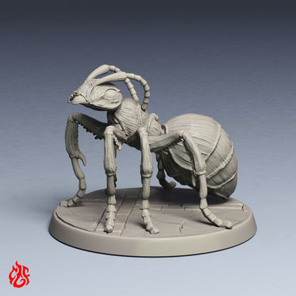 Paquete de hormigas gigantes