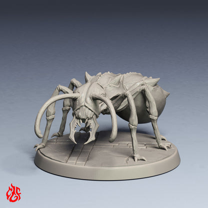 Paquete de hormigas gigantes