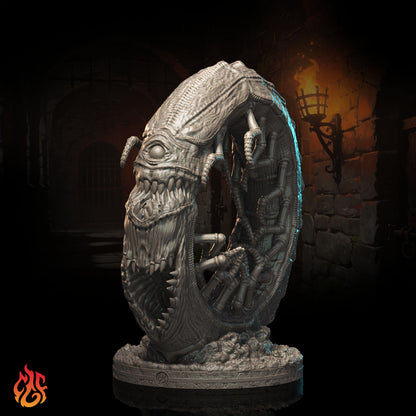 Nautilion Lamia