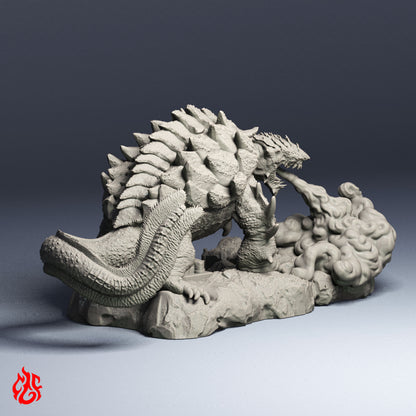 Tortue Dragon