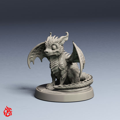 Black Dragon Hatchling
