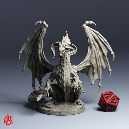 Black Dragons Bundle