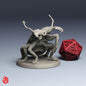 Goliath Stag Beetle