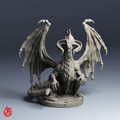 Black Dragons Bundle