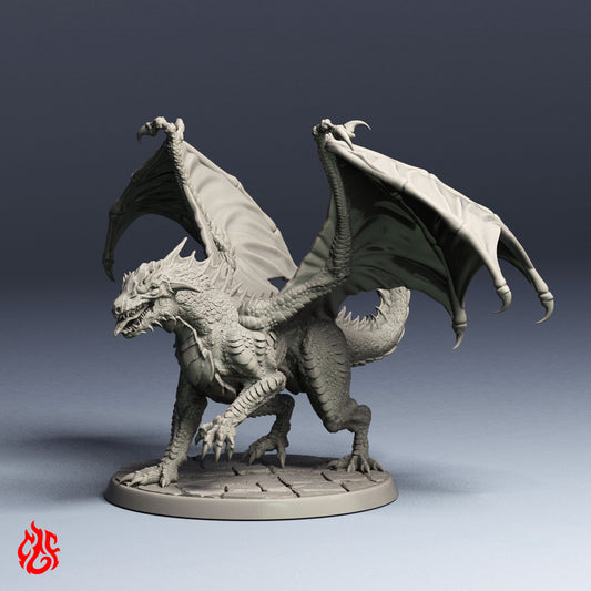 Black Dragon Wyrmlings