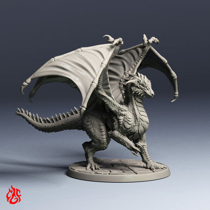 Black Dragons Bundle