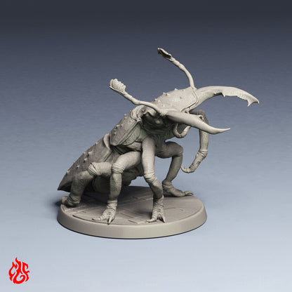 Goliath Stag Beetle