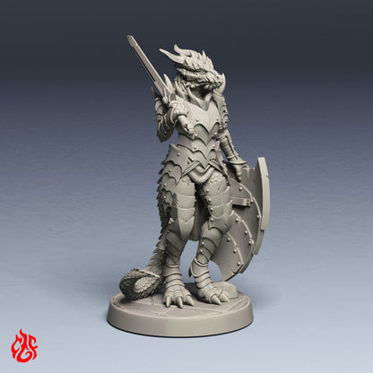 Paladin Draconique Deimeriss