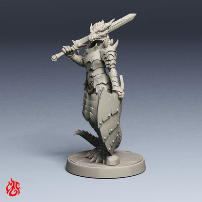 Paladin Draconique Deimeriss