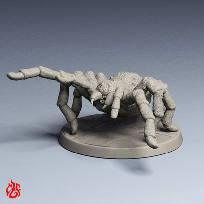 Giant Spiders Bundle