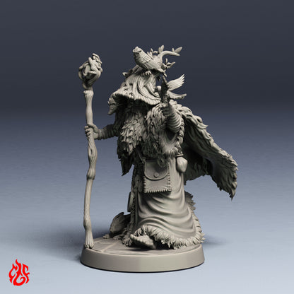 Galather the Shepherd Druid