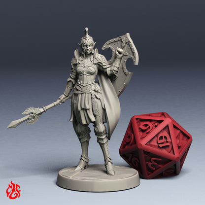 Liriel, Elf Shieldmaiden