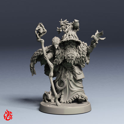 Galather the Shepherd Druid